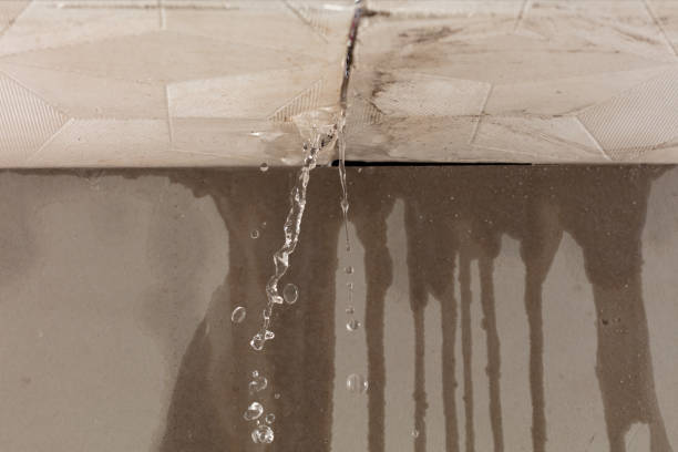 Professional Structural Drying technician working in Blakeslee, OH